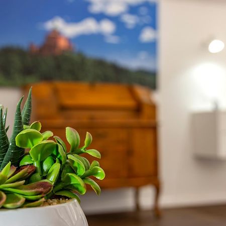 Righi Suite Apartment Bologna Luaran gambar